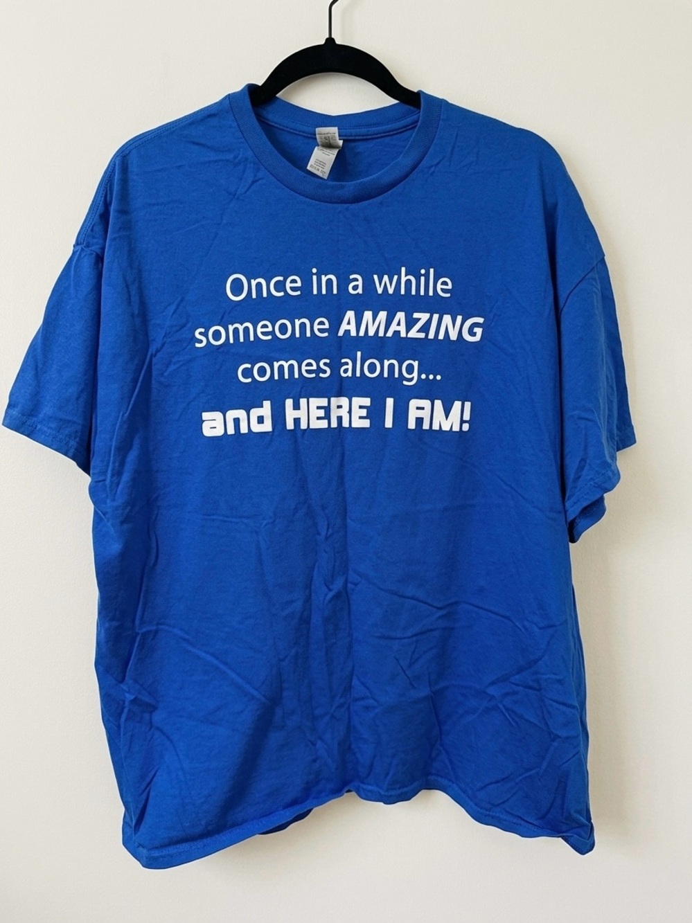 Gildan Blue Short Sleeve Tee with Funny Saying